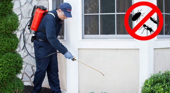 Çaycuma Fare İlaçlama böcek ilaçlama ve haşere kontrolü — ilaclama-tr.com